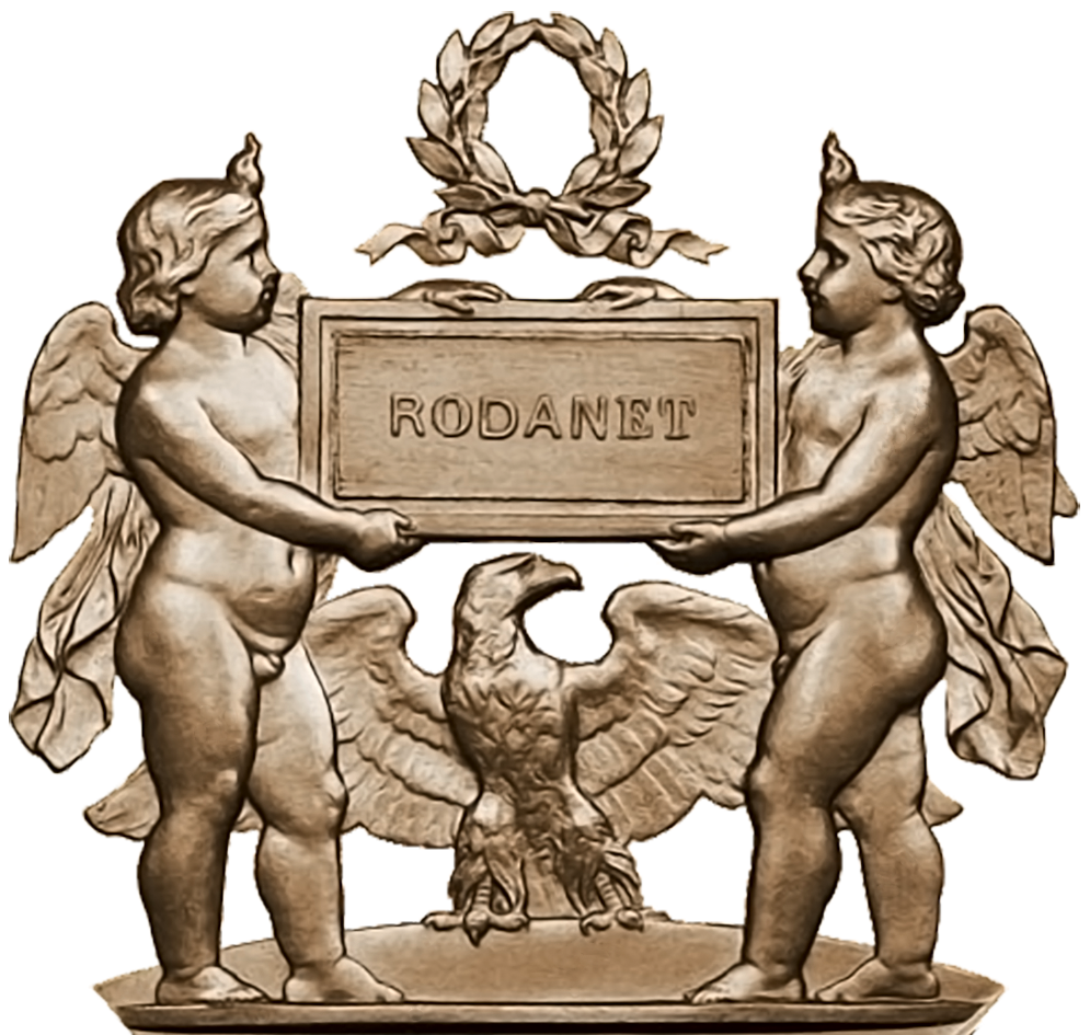 Logo Rodanet